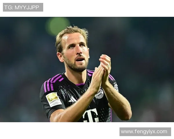 追忆荷兰足球传奇明星的辉煌岁月与不朽足迹