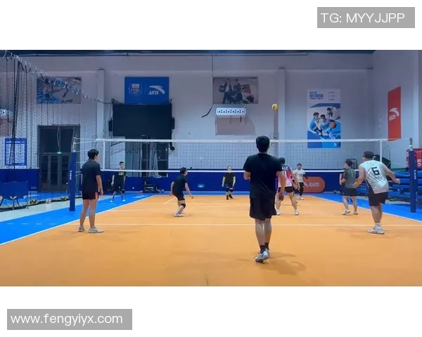 重庆排球队比赛经验分享：从赛场到训练的全方位探索与提升